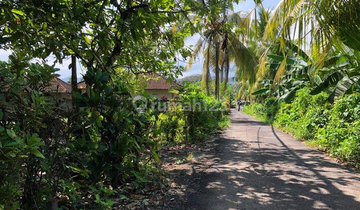 Di jual tanah di area villa dan hotel jalan ke pantai balian beach tabanan memiliki pemandangan sawah  1