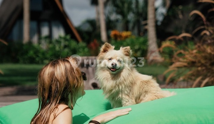 Balian Boutique Eco Resort For Lease, Tabanan