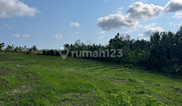 Dijual Tanah lokasi banjar dinas sukawati,selemadeg, tabanan 1km ke jalan utama denpasar-gilimanuk