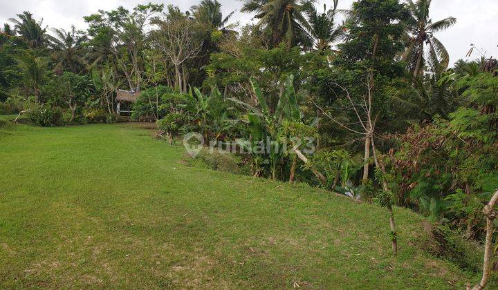 Land for sale with River View and Paddy View in Lodtunduh Area, Ubud, Bali 2