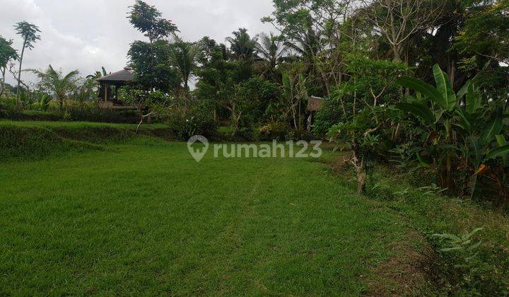 Land for sale with River View and Paddy View in Lodtunduh Area, Ubud, Bali 1