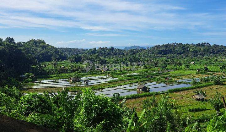 Disewakan tanah luas 10000 m2 view sawah dan gunung, Ababi Karangasem 1