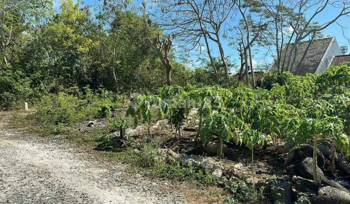 Dijual sebidang tanah kosong Lokasi kampial Dharmawangsa nusa dua bali 1