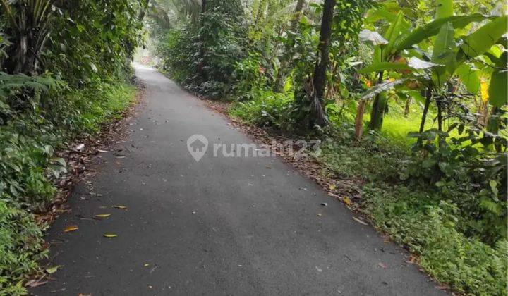 Garden land for sale in Kelusa Ubud Gianyar Bali 1