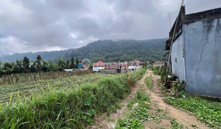 Dijual tanah view danau lokasi bedugul pancasari 1