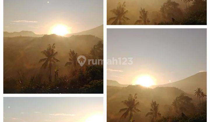 Leasehold land 6000m2 in Abang Karangasem 1