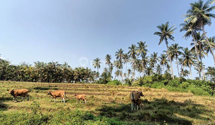 Dijual Tanah di Pantai Balian Tabanan 1