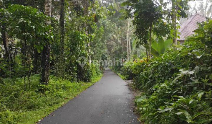 Garden land for sale in Kelusa Ubud Gianyar Bali 2