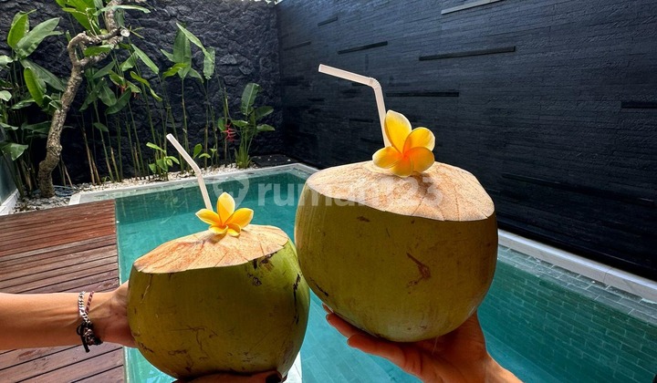 Newly renovated 3 bedrooms villa in Umalas Klecung, Kerobokan, Kuta Utara