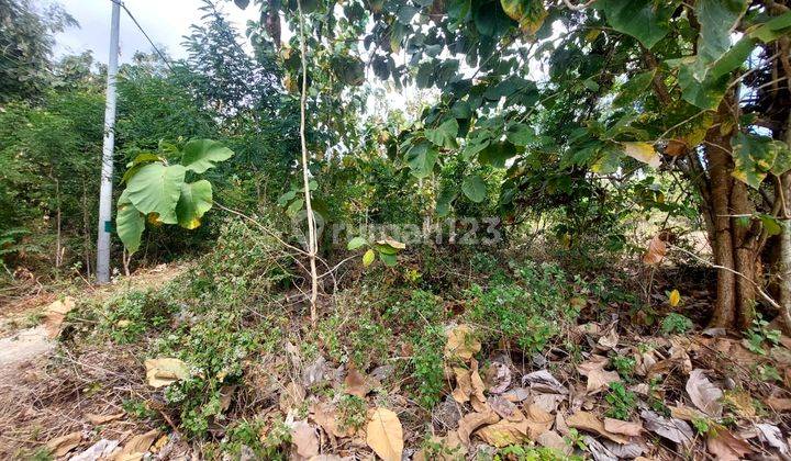 Vacant Land for Sale Ready to Build Location Puri Gading Jimbaran Bali 2