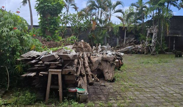Free hold land, in Kerobokan