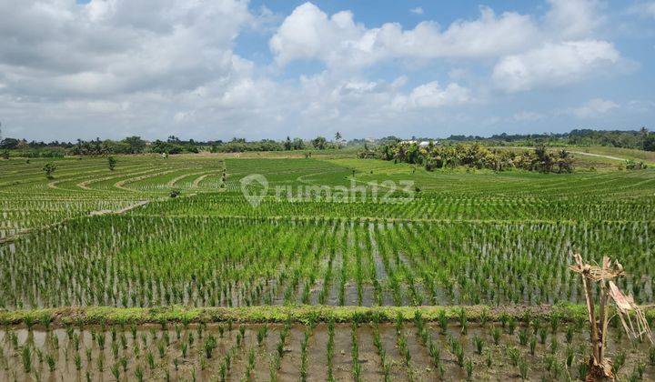 For sale Pasut land suitable for a villa, or plot. Tibubiu Tabanan 1