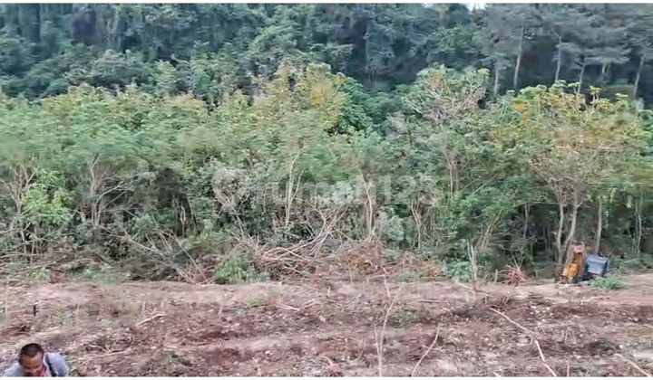 Dijual tanah 270 m2 super murah Lokasi dekat kampus ,jimbaran ,selatan ,badung bali Dijual tanah 270 m2 super murah Lokasi dekat kampus ,jimbaran ,selatan ,badung bali