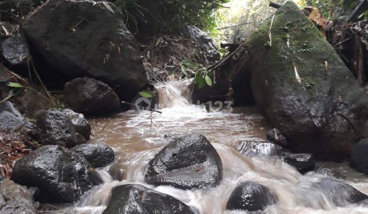 DIJUAL TANAH TEPI SUNGAI DI PAYANGAN BALI 2