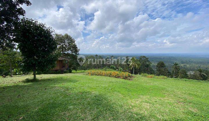 Dijual Tanah View Pegunungan di Tabanan  1