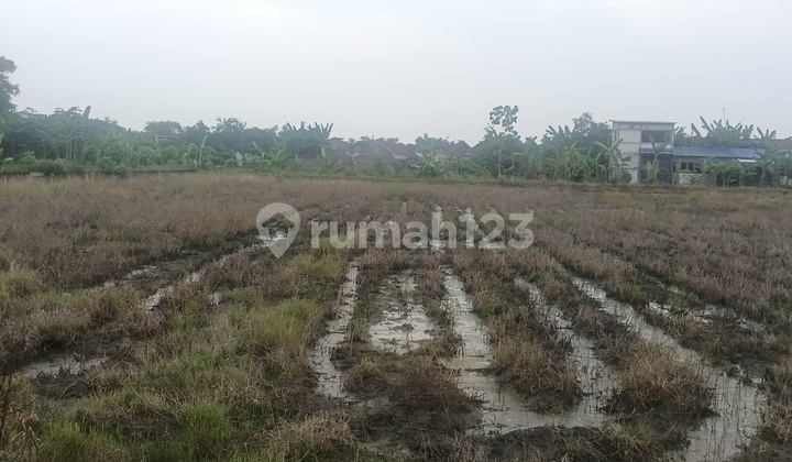 SHM Freehold Land Zero Road Provincial In Mojokerto