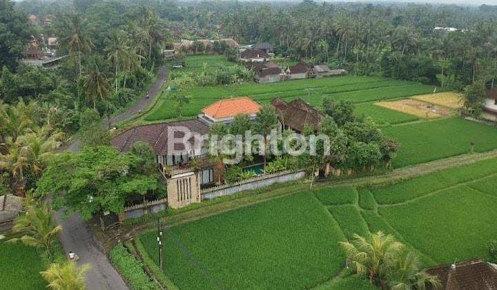 VILLA IN CENTRA UBUD WITH RICE VIEW Rural ATTEMPT 2