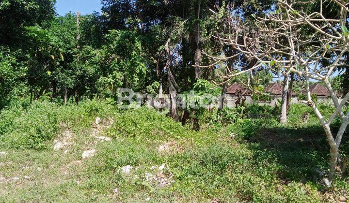 TANAH DIDAERAH WISATA LEMBONGAN DEKAT PANTAI SEGARA JUNGUTBATU 2