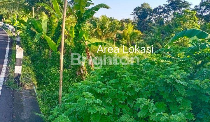 LAND IN A COOL AREA WITH VIEWS OF FIELD AND MOUNTAINS IN TABANAN BALI 2