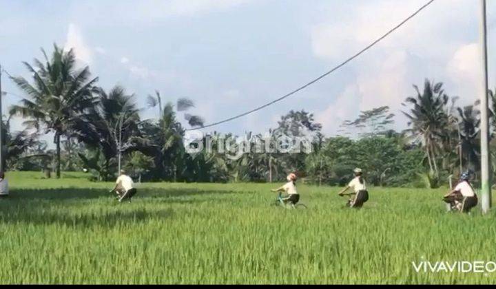 TANAH DENGAN LOKASI SANGAT BAGUS DI UBUD 2