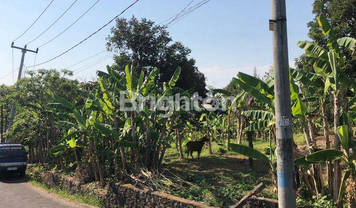 Lahan Bagus Di Sempidi Badung Bali 1