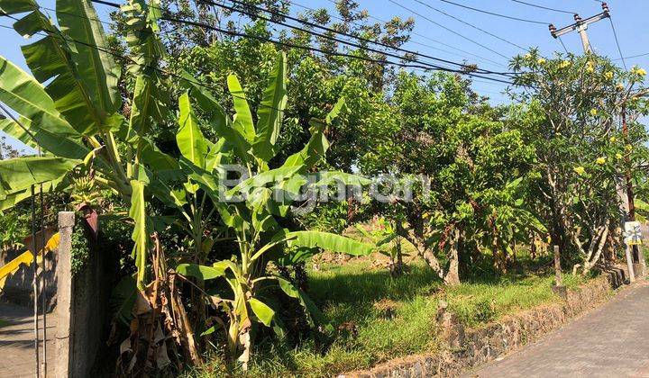 Lahan Bagus Di Sempidi Badung Bali 2