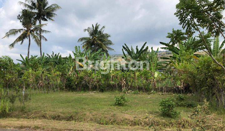 TANAH BERLOKASI DI DAERAH PARIWISATA SINGARAJA SUDAH DIKENAL WISATAWAN MANCA NEGARA 1