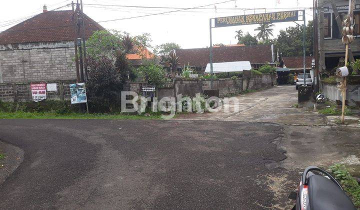 RUMAH SEDERHANA LINGKUNGAN SEJUK DI DAERAH PARIWISATA ALAS KEDATON KEDIRI 2