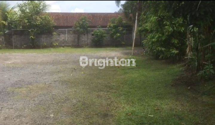 TANAH DATAR DENGAN VIEW SAWAH DILINGKUNGAN VILLA DI UBUD 2