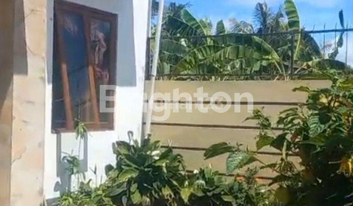 RUMAH SEDERHANA NAN NYAMAN DI MENGWI BADUNG BALI 1