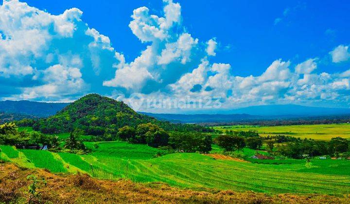 Tanah Murah Rancaekek SHM Lokasi Strategis 2