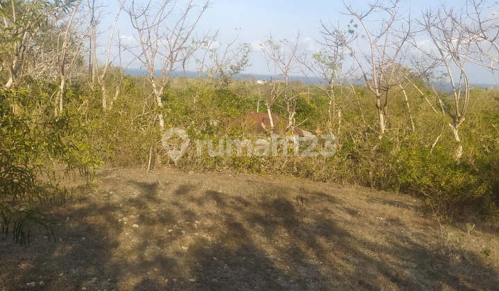 Hot List Top Urgent Cheapest in Its Class For Sale Land Sea View Location Sawangan Nusa Dua South Kuta