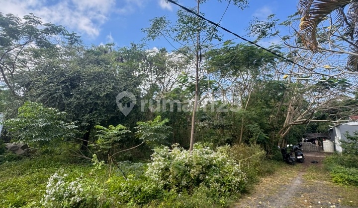 Hot List Top Urgent Termurah Di Kelasnya Di Jual Tanah Lokasi Dekat Villa Airis Pecatu Kuta Selatan 