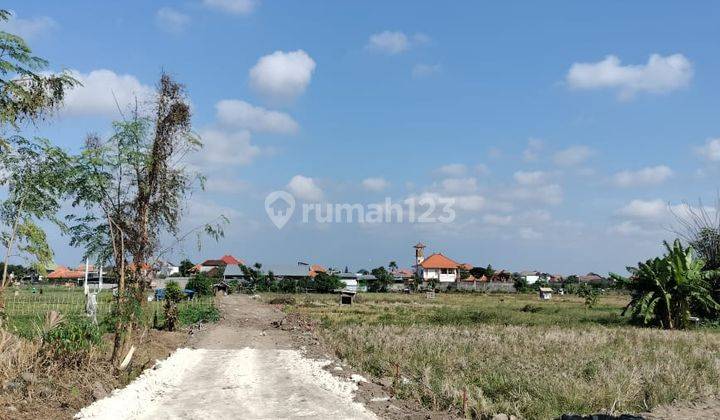 Hot List Di Jual Tanah Kavling View Sawah Lokasi Renon Denpasar Selatan 1