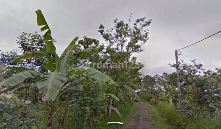 Hot List of Land for Sale at Mount Catur Kintamani Bangli Location 1