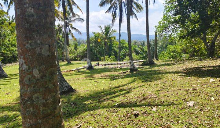 Hot List Di Jual Tanah View Gunung Sawah Hutan Dan Laut Lokasi Antosari Selemadeg Barat Tabanan 2