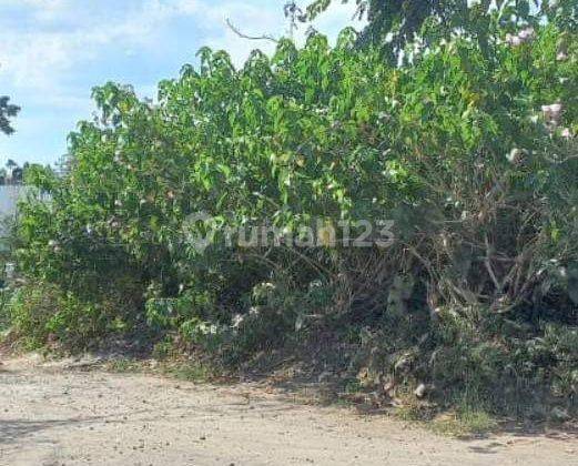 Hot List of land for sale in Sempol Canggu, North Kuta 2