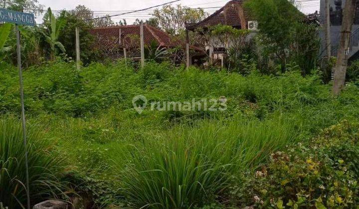 Hot List of Land for Sale in Berawa Canggu, North Kuta 1