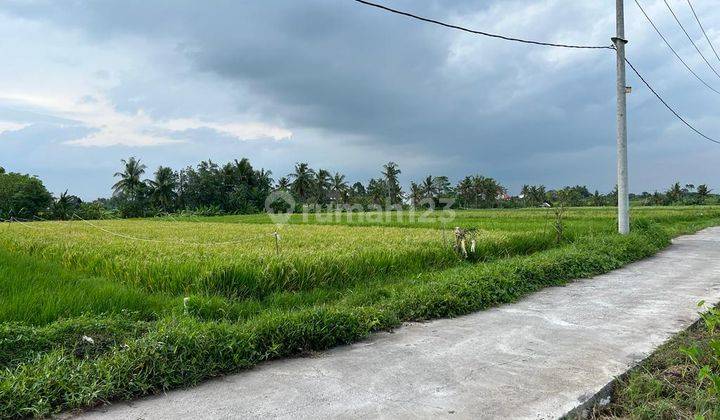 Hot List of Land for Sale in Kedungu, Kediri, Tabanan 1