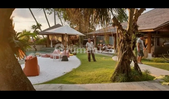 Hot List Top Urgent Cheapest in Its Class For Sale Villa Rice Field View Location Pererenan Canggu North Kuta