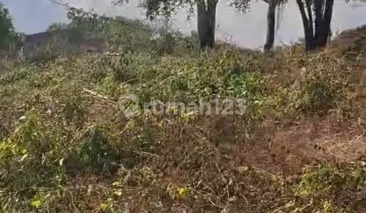 Hot List Top Urgent Cheapest in its Class For Sale Land Sea View Location Land Barak Kutuh Pandawa South Kuta Hot List Top Urgent Cheapest in its Class For Sale Land Sea View Location Land Barak Kutuh Pandawa South Kuta