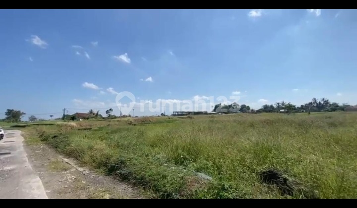 Di Jual Tanah Lokasi Kedungu Kediri Tabanan