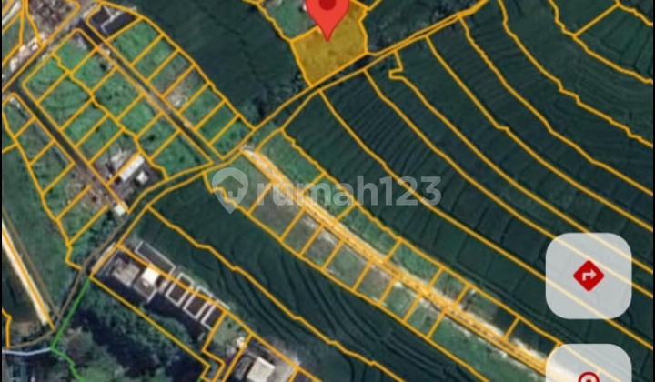 Di Jual Tanah View Sawah Lokasi Cemagi Mengwi Badung Di Jual Tanah View Sawah Lokasi Cemagi Mengwi Badung