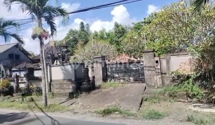 Hot List Top Urgent Termurah Di Kelasnya Di Jual Tanah Lokasi Mengening Cemagi Mengwi Badung Dekat Dengan Canggu 