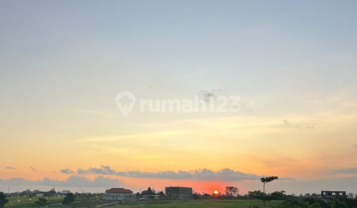 Hot List Top Urgent Cheapest In Its Class For Sale Villa With Rice Field And Sunset View Location Pererenan Canggu North Kuta