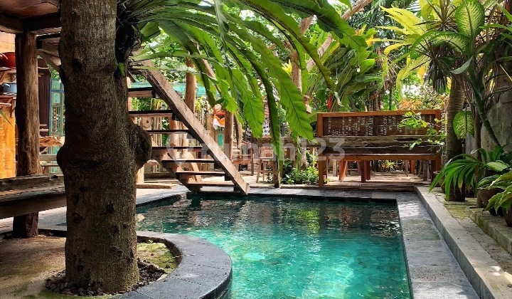 Hot List Top Urgent Termurah Di Kelasnya Di Jual Guesthouse Lokasi Jimbaran Kuta Selatan 