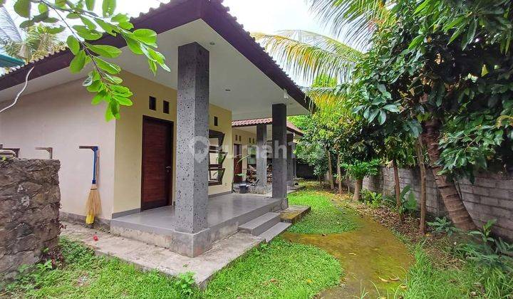 Hot List For Sale Guesthouse Location North Kemenuh Sukawati Gianyar 1