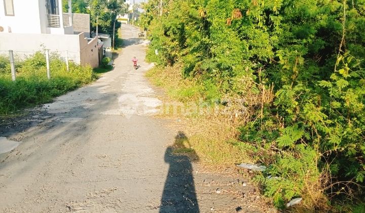 Hot List Top Urgent Termurah Di Kelasnya Di Jual Tanah Lokasi Dekat Villa Airis Pecatu Kuta Selatan 