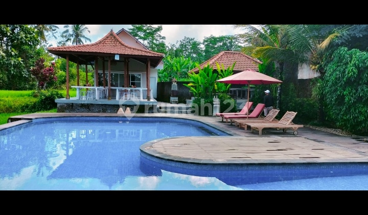 Hot List Top Urgent Cheapest in Its Class For Sale Global Villa Complex and Resort Location Tegallalang Ubud Gianyar