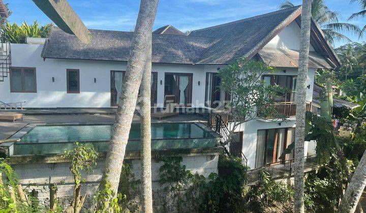 Hot List Top Urgent Termurah Di Kelasnya Di Jual Villa Loss Sungai View Sawah Lokasi Kengetan Ubud Gianyar 1